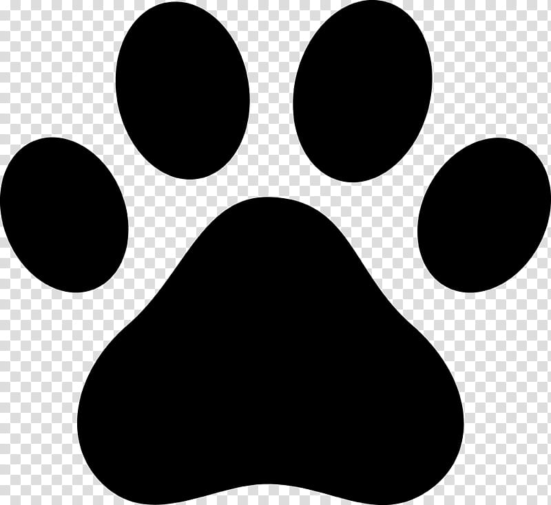 Paw logo cat dog animal pet footprint icon Vector Image