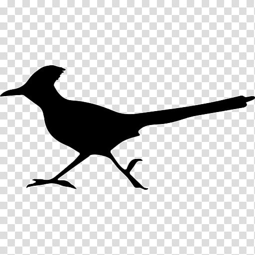 Roadrunner, Wile E Coyote And The Road Runner, Greater Roadrunner, Looney Tunes, Bird, Beak, Silhouette, Wing transparent background PNG clipart