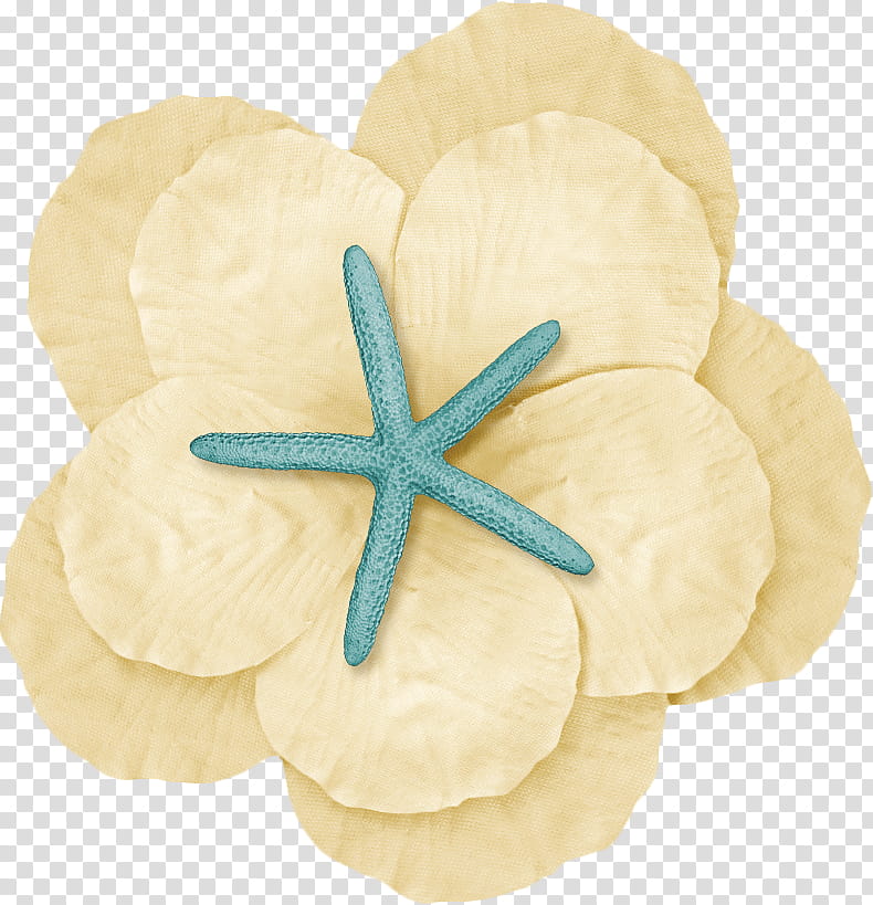 , roti bread and blue starfish illustration transparent background PNG clipart