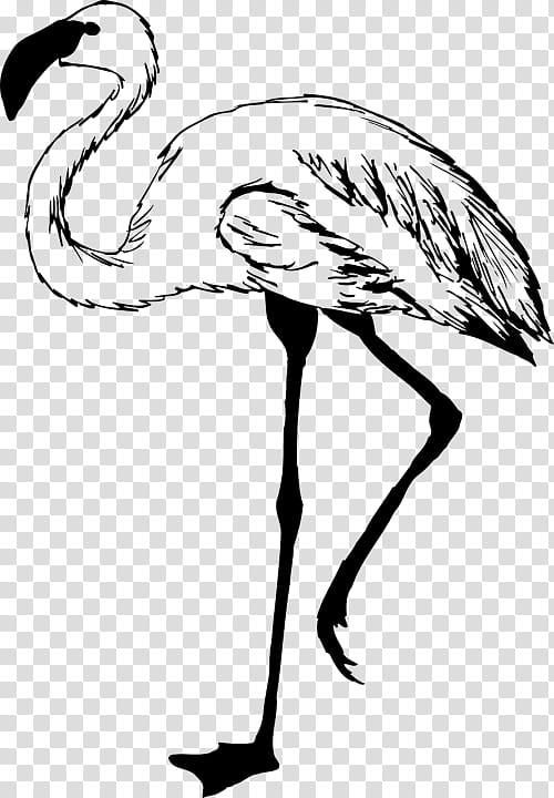 Bird Line Art, Neck, Beak, Greater Flamingo, Ratite, Ostrich, Cranelike Bird, Emu transparent background PNG clipart