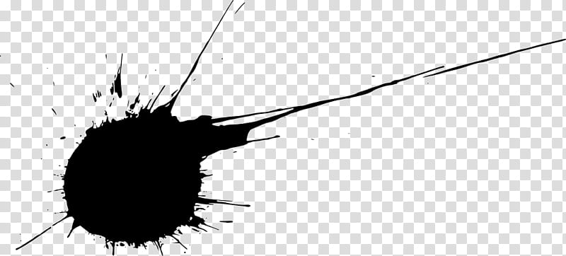 Black Line, Insect, Black White M, Eye, Point, Beak, Sky, Tree transparent background PNG clipart