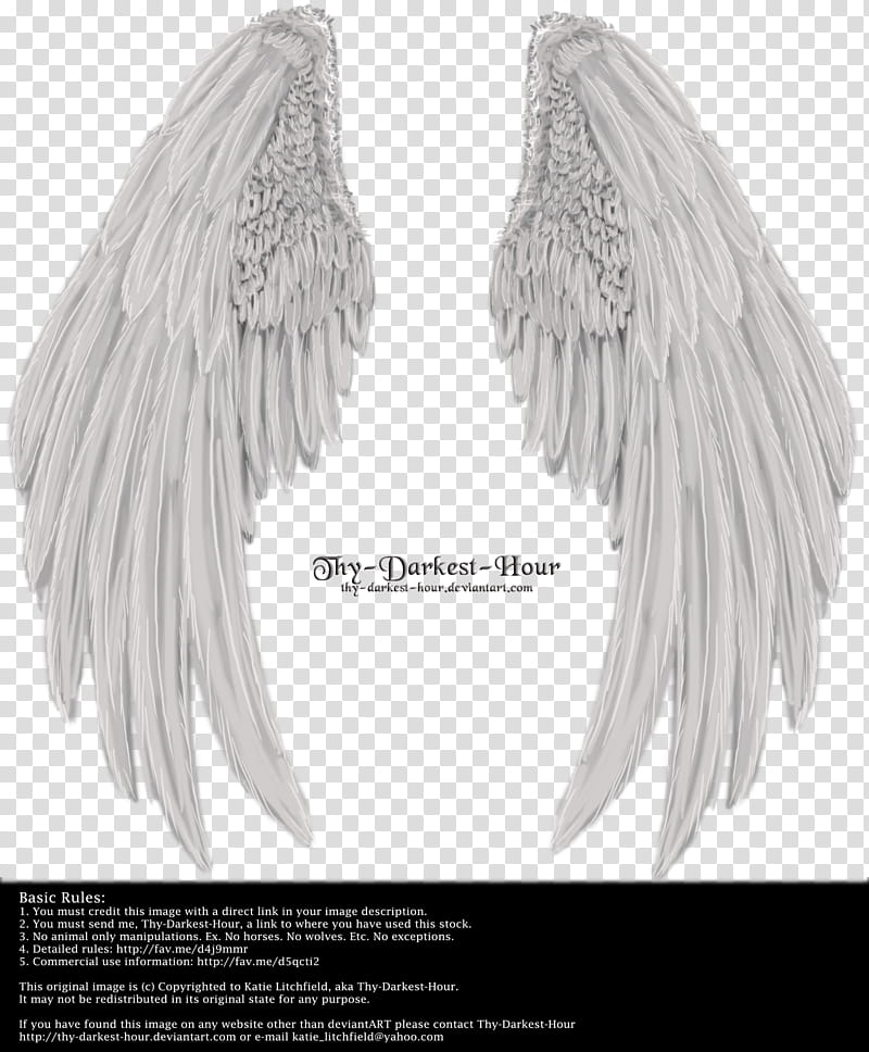 Winged Fantasy V  Silver Free, The Darkest Hour illustration transparent background PNG clipart