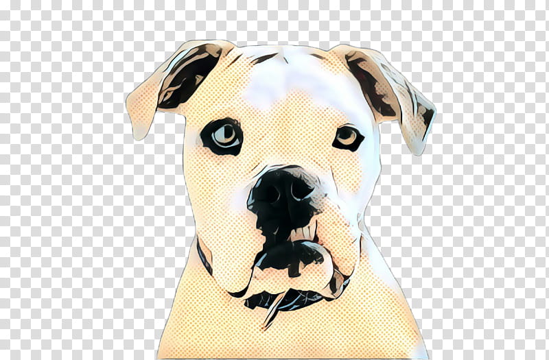 pop art retro vintage, Boxer, American Bulldog, Puppy, Puppy Love, Snout, Breed, Crossbreed transparent background PNG clipart