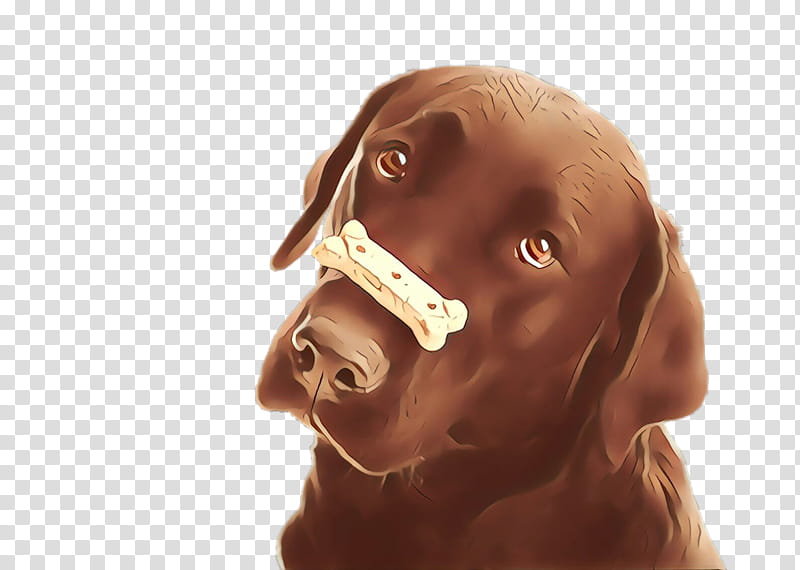 dog vizsla nose labrador retriever sporting group, Brown, Snout, Liver transparent background PNG clipart