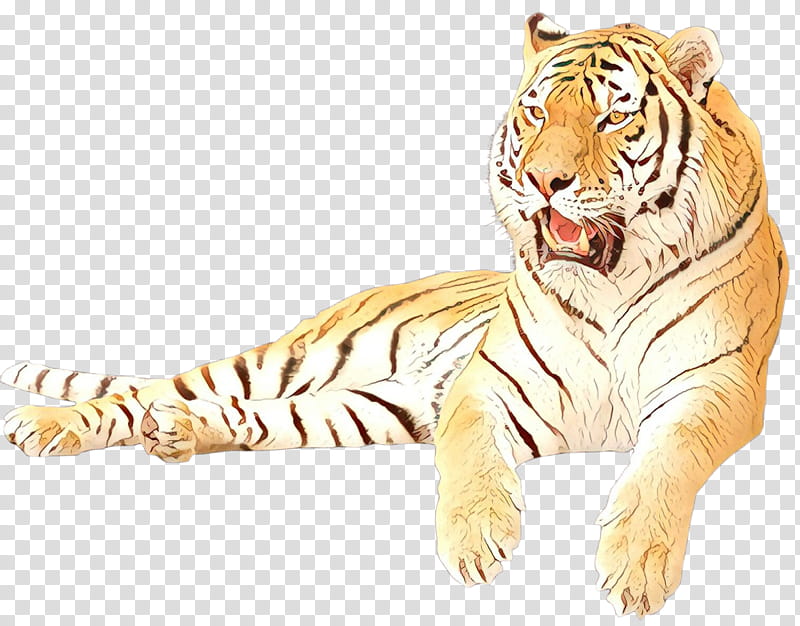 Cats, White Tiger, Jaguar, Leopard, Siberian Tiger, Bengal Tiger, Animal, Animal Figure transparent background PNG clipart