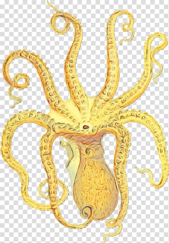 octopus octopus marine invertebrates giant pacific octopus, Watercolor, Paint, Wet Ink transparent background PNG clipart
