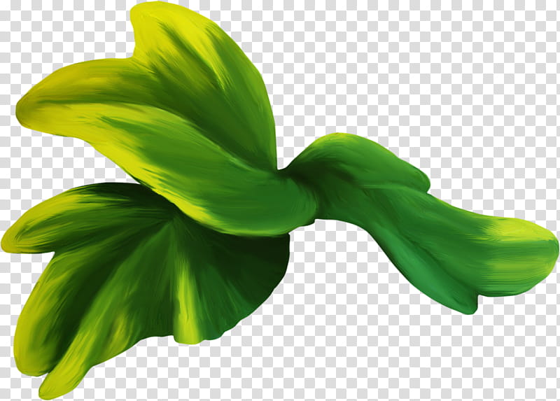 Green Leaf, Coral, Sea, Ocean, Color, Plant, Flower, Petal transparent background PNG clipart
