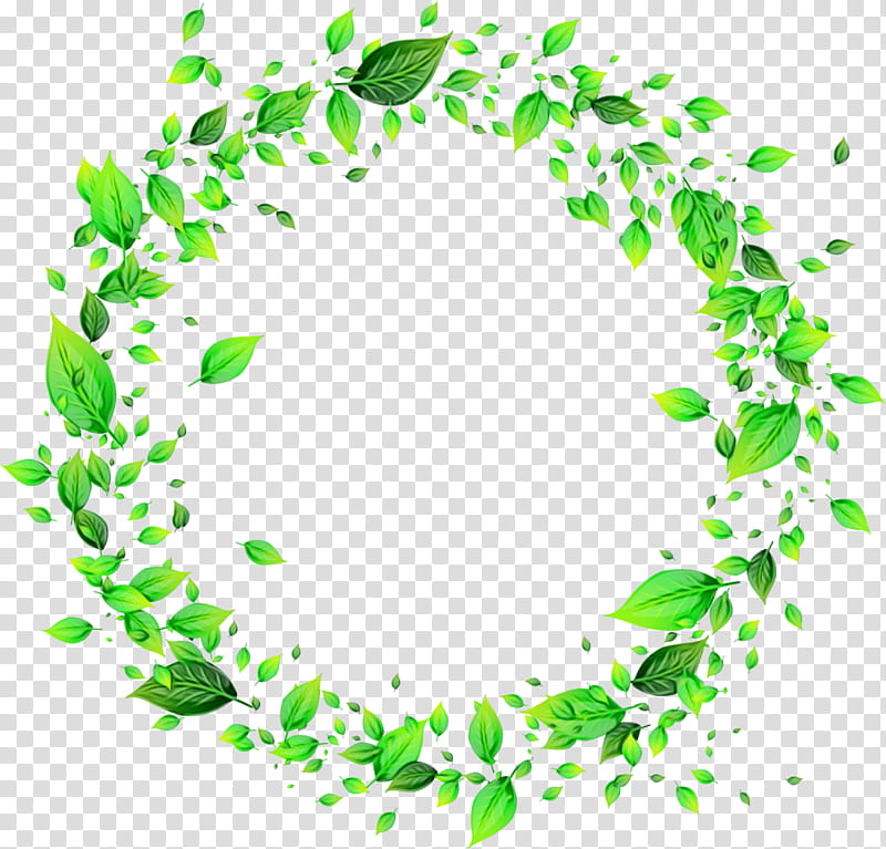 Green Leaf, Frames, Drawing, Flower, Painting, Plant, Circle transparent background PNG clipart
