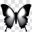 Butterfly Cam, ButterflyCam_Gray icon transparent background PNG clipart