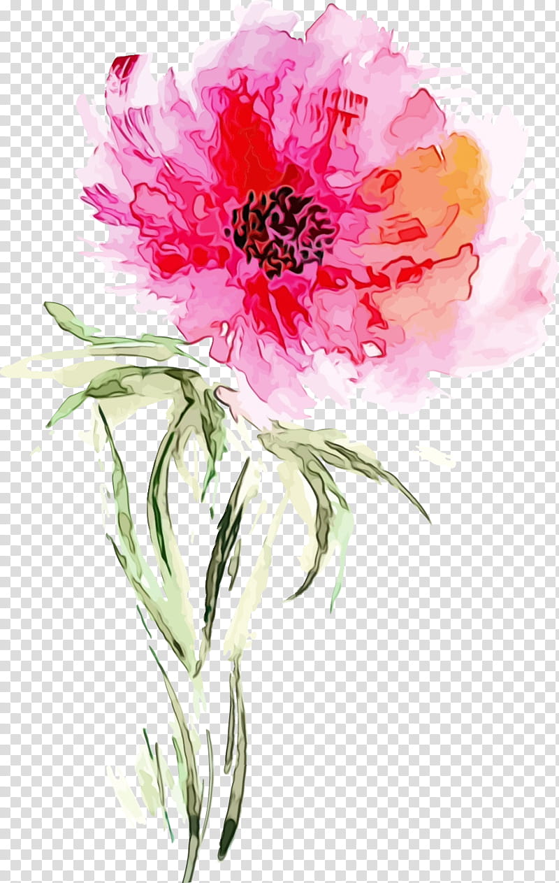 flower flowering plant watercolor paint petal plant, Wet Ink, Pink, Cut Flowers, Common Peony transparent background PNG clipart