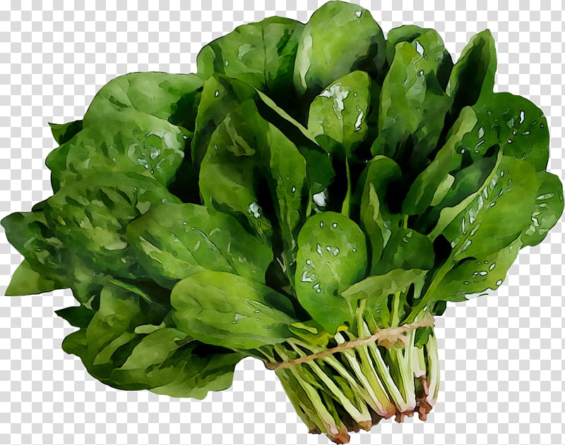 Green Leaf, Vegetable, Spinach Salad, Food, Amaranth, Balinese Cuisine, Beslenme, Eating transparent background PNG clipart
