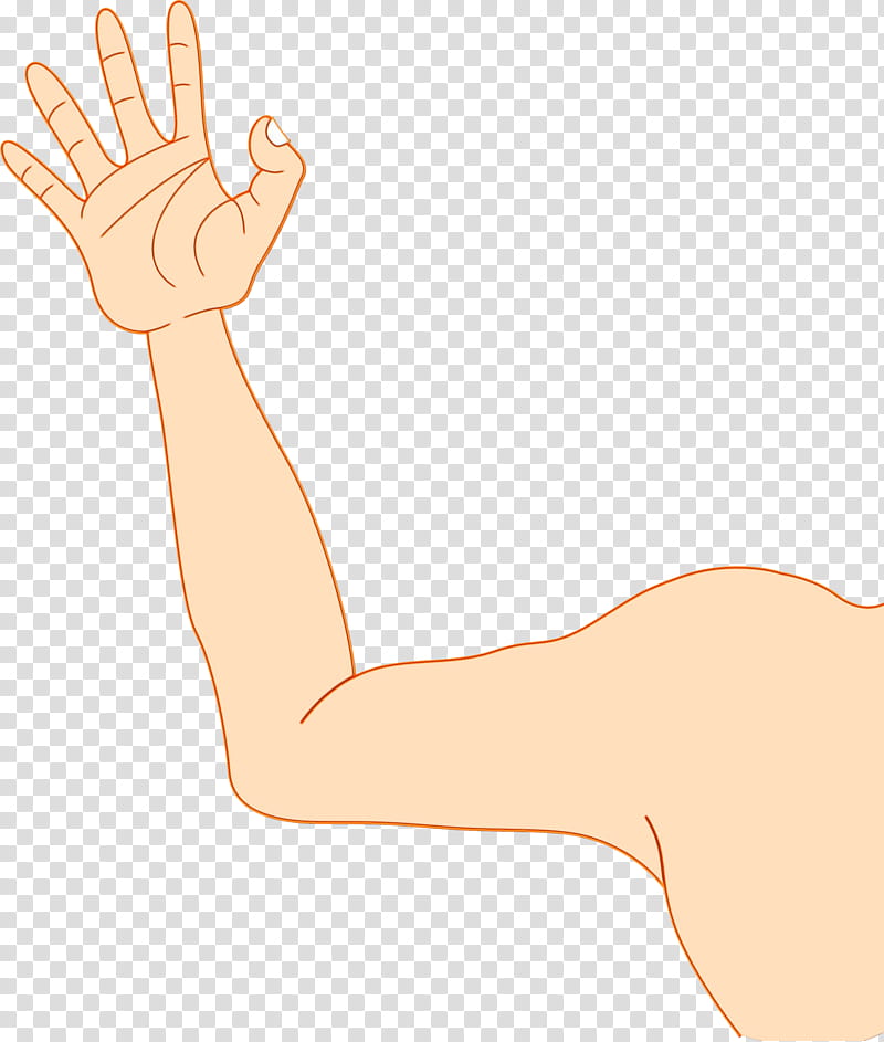 arm hand finger wrist elbow, Watercolor, Paint, Wet Ink, Gesture, Joint, Leg, Muscle transparent background PNG clipart