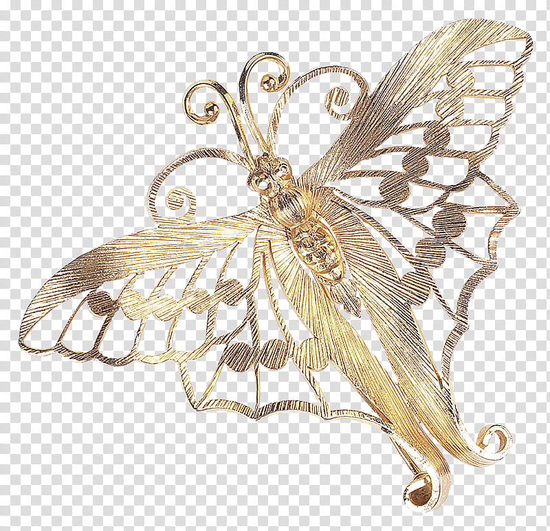wing insect brooch dragonflies and damseflies membrane-winged insect, Membranewinged Insect, Metal, Brass, Moths And Butterflies transparent background PNG clipart