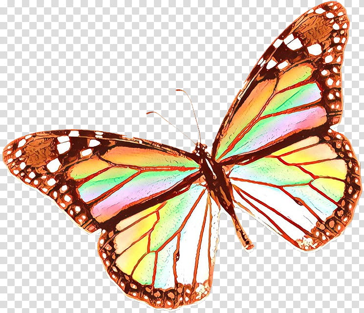 Monarch butterfly, Cartoon, Moths And Butterflies, Cynthia Subgenus, Insect, Viceroy Butterfly, Brushfooted Butterfly, Pollinator transparent background PNG clipart