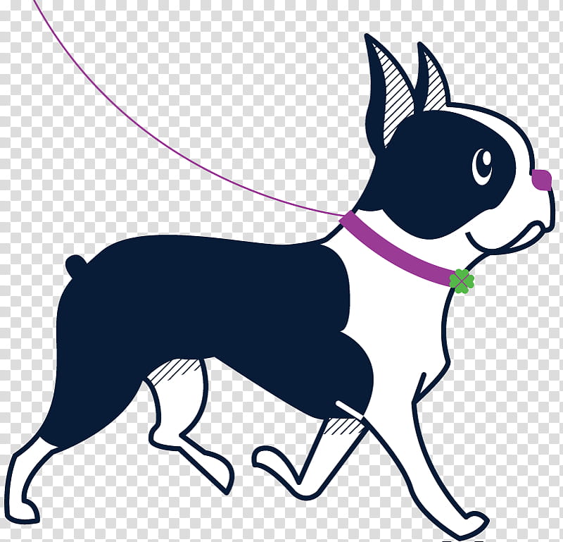 Dog And Cat, Puppy, Boston Terrier, Pet Sitting, Dog Walking, Northeast Boston Terrier Rescue, Snout, Chihuahua transparent background PNG clipart