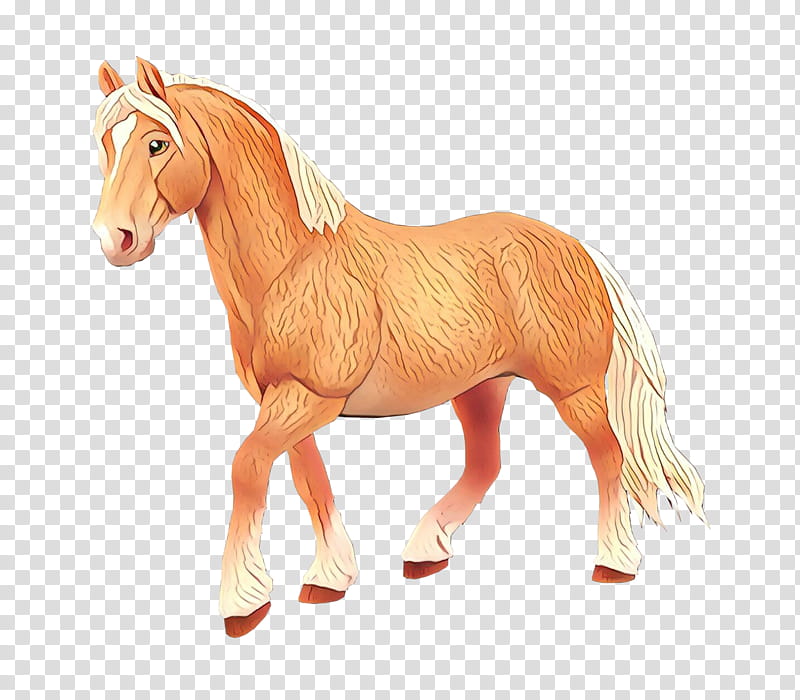 Horse, Cartoon, Mane, Mustang, Mare, Stallion, Pony, Fjord Horse transparent background PNG clipart