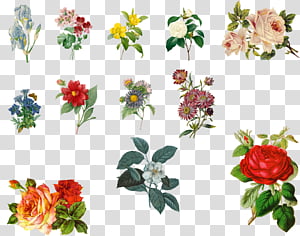 Vintage Flowers Set 1, assorted-color flowers transparent background PNG clipart thumbnail