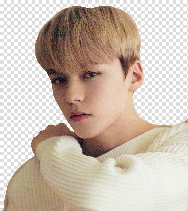 VERNON SEVENTEEN ALONE transparent background PNG clipart