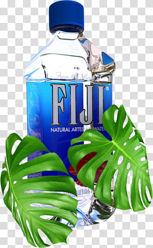 I am fiji by Fiji on TIDAL
