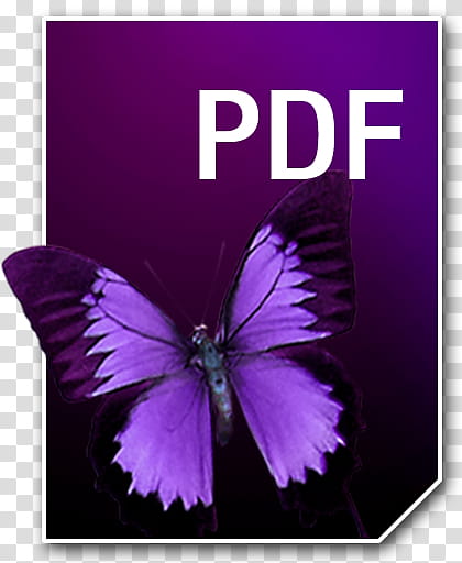 Adobe Neue Icons, PDF__, purple and black butterfly with PDF text overlay transparent background PNG clipart