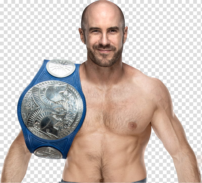 Cesaro Smackdown TTC Render transparent background PNG clipart