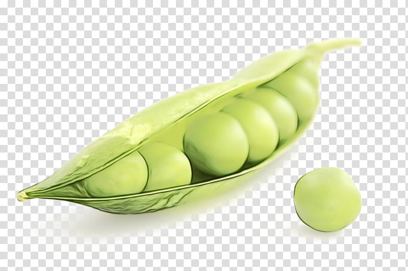 Vegetable, Pea, Food, Vegetarian Cuisine, Lima Bean, Legume, Superfood, Commodity transparent background PNG clipart
