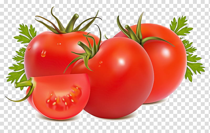 Tomato, Natural Foods, Solanum, Fruit, Vegetable, Local Food, Bush Tomato, Plum Tomato transparent background PNG clipart