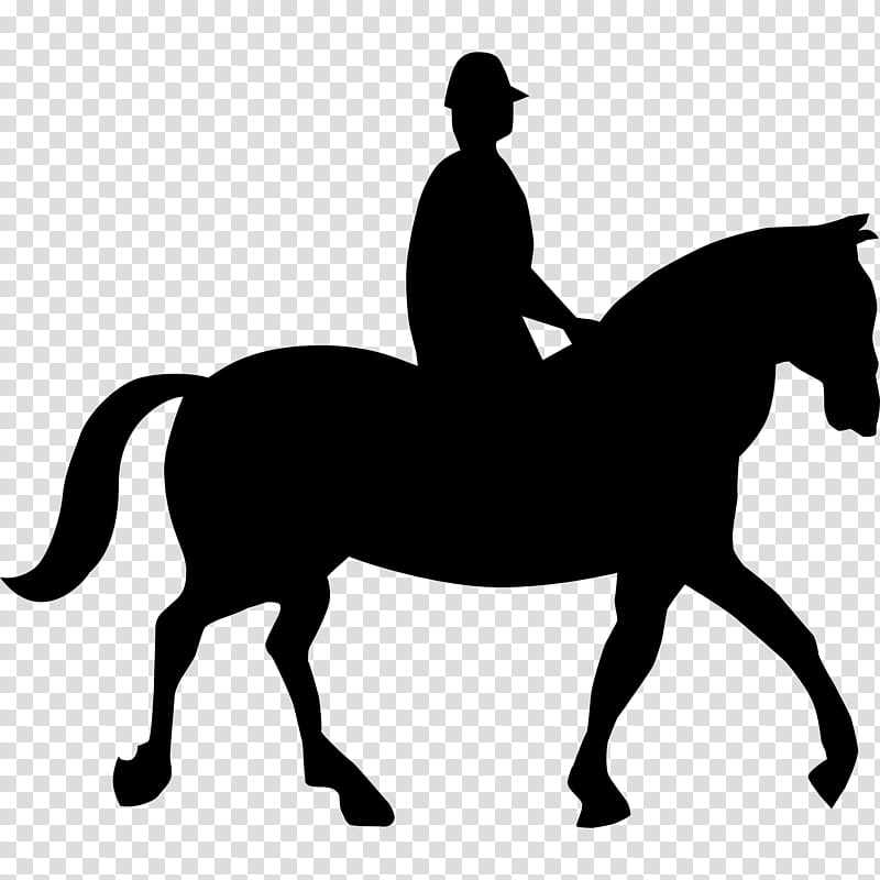 Road, Horse, Traffic Sign, Warning Sign, Highway Code, Cart, Road Traffic Safety, Prohibitory Traffic Sign transparent background PNG clipart