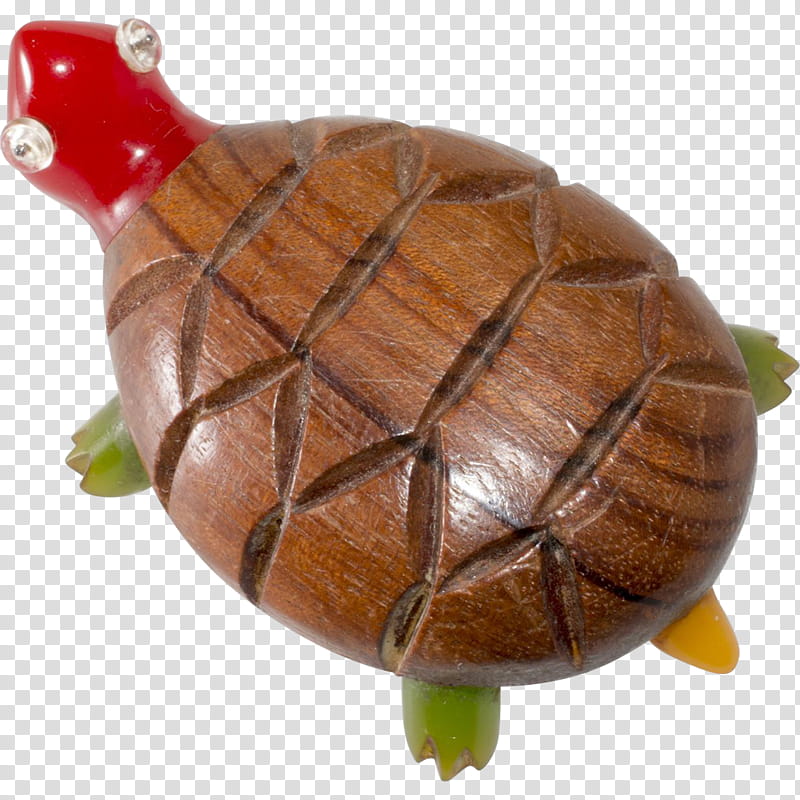 Turtle, Box Turtles, Tortoise, Reptile transparent background PNG clipart