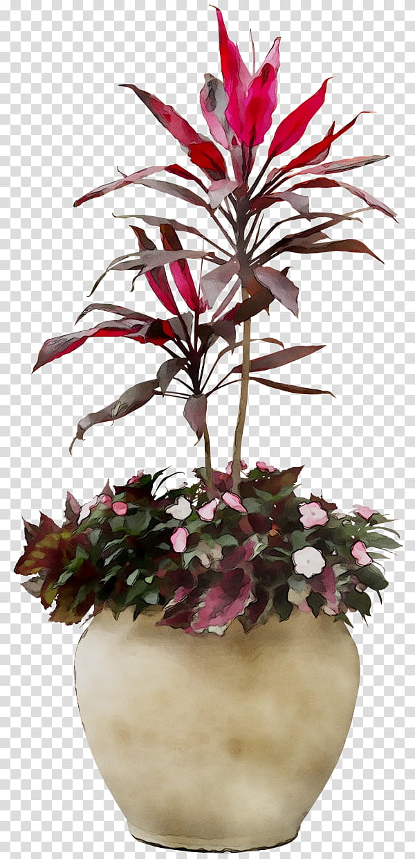 Palm Tree, Flowerpot, Houseplant, Plants, Fiddleleaf Fig, Palm Trees, Bonsai, Flower Box transparent background PNG clipart