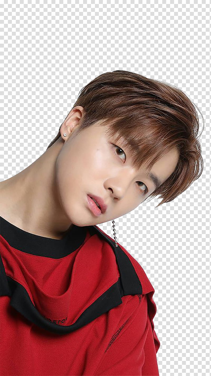 IKON , JAY transparent background PNG clipart