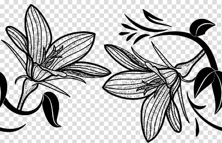 Flowers Brushes Sets, of two flowers transparent background PNG clipart