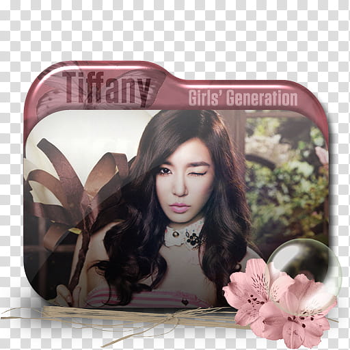 Taeny Folder Icon , Tiffany  transparent background PNG clipart