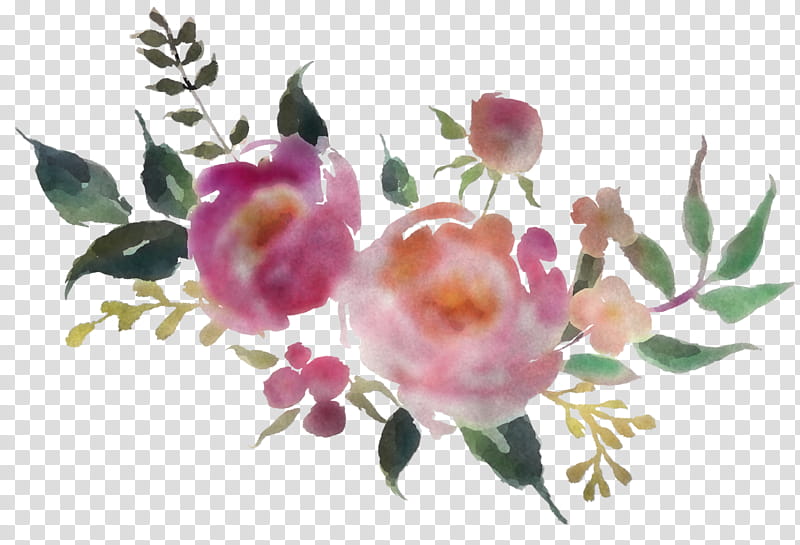 Rose, Flower, Pink, Plant, Petal, Prickly Rose, Rosa Rubiginosa, Rose Family transparent background PNG clipart