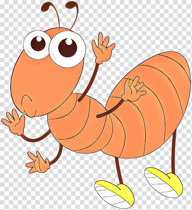 Orange, Cartoon, Animal Figure transparent background PNG clipart