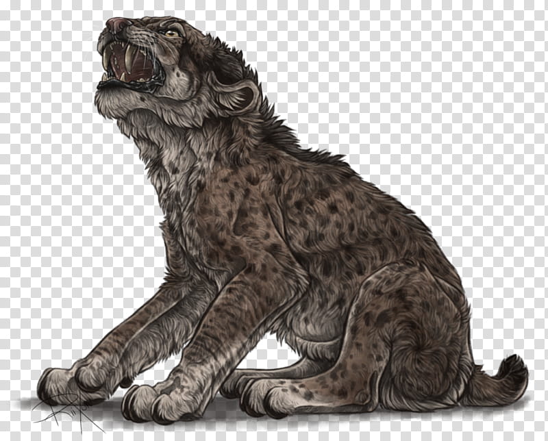 Fierce Smilodon Cub transparent background PNG clipart