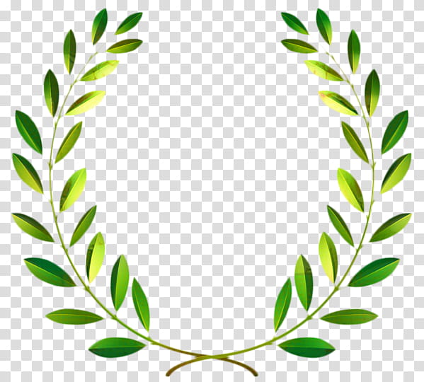 Green Grass, Laurel Wreath, Bay Laurel, Olive Wreath, Drawing, Olive Branch, Leaf, Plant transparent background PNG clipart