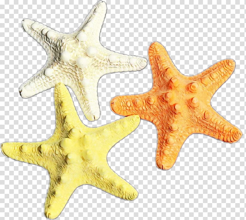 starfish yellow marine invertebrates star fashion accessory, Watercolor, Paint, Wet Ink, Jewellery transparent background PNG clipart