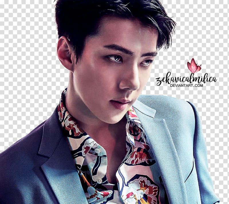 EXO Sehun Countdown, Exo Sehun transparent background PNG clipart