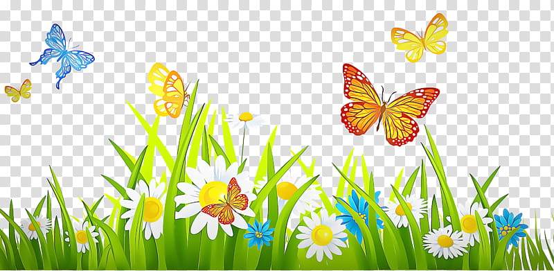butterfly natural landscape meadow spring, Spring
, Insect, Plant, Grass, Wildflower, Moths And Butterflies transparent background PNG clipart
