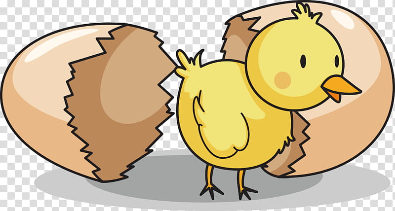 Duck, Chicken, Egg, Cartoon, Drawing, Simsimi, Animation, Moe transparent background PNG clipart