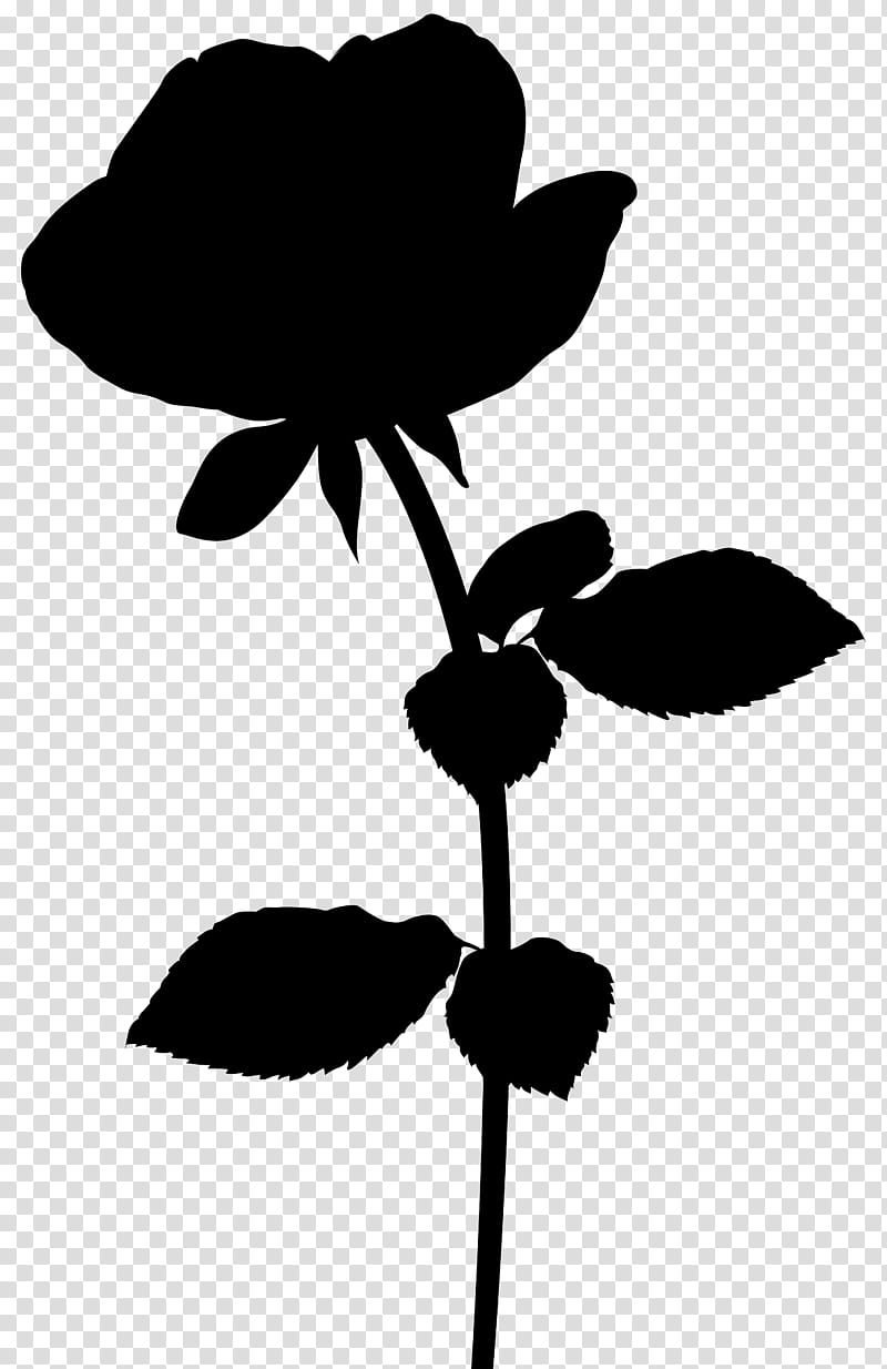 Love Silhouette, Night, Udaipur, Leaf, Petal, Flora, Name, Plant Stem transparent background PNG clipart