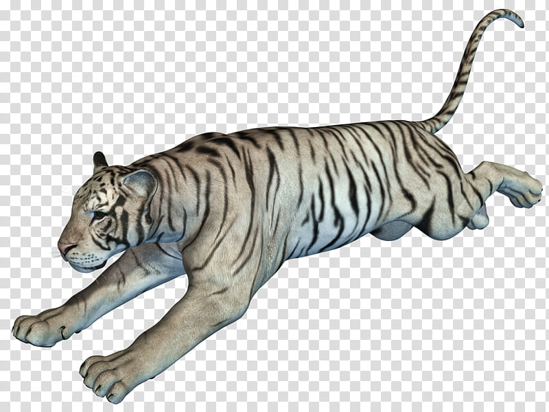 White Tiger , white and black zebra print textile transparent background PNG clipart