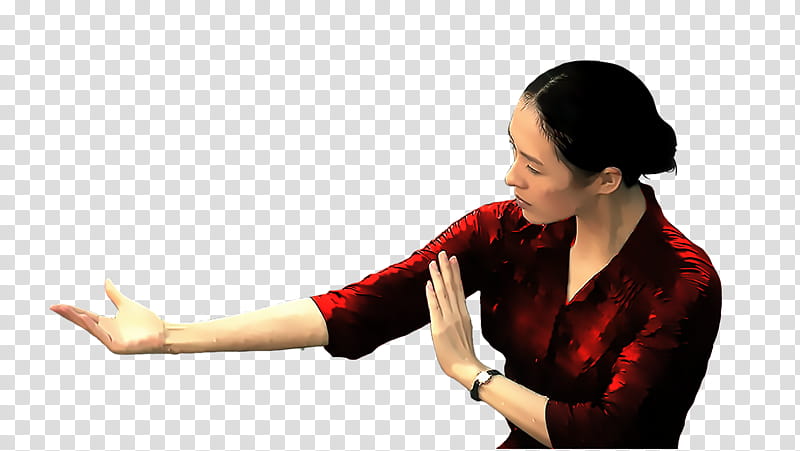 Zhang Ziyi Red Shirt transparent background PNG clipart