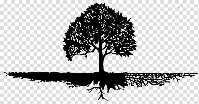 Tree Trunk Drawing, Context, Hermeneutics, Understanding, Root, Noun, Culture, Person transparent background PNG clipart