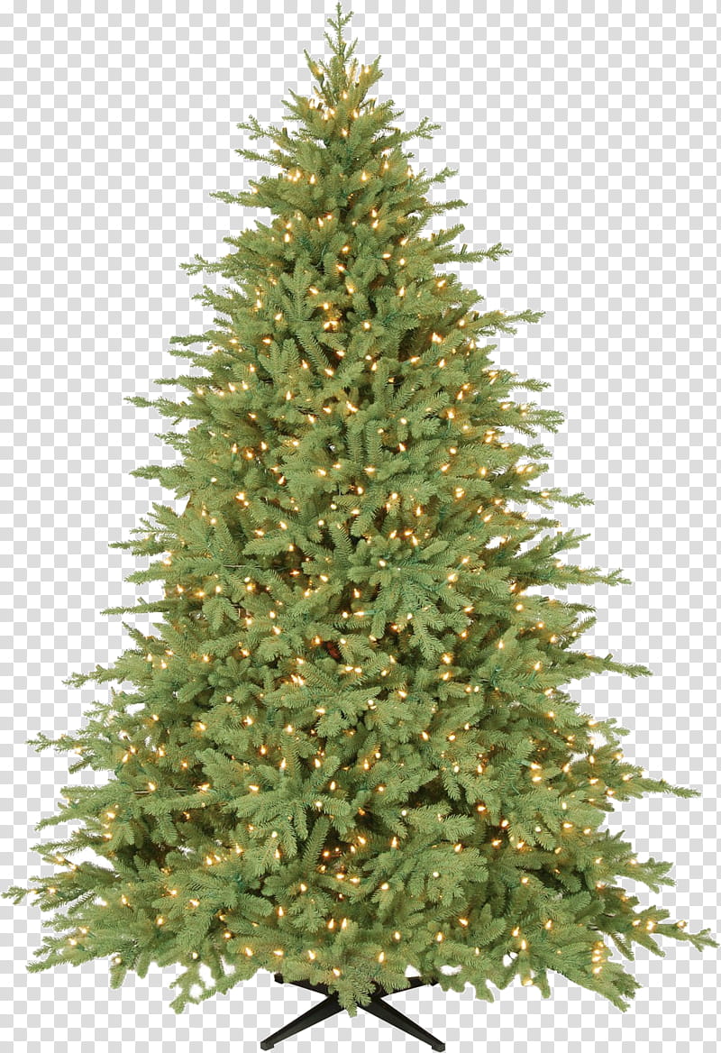 Free Christmas Trees shop Brushes plus Cutout, green Christmas tree illustration transparent background PNG clipart