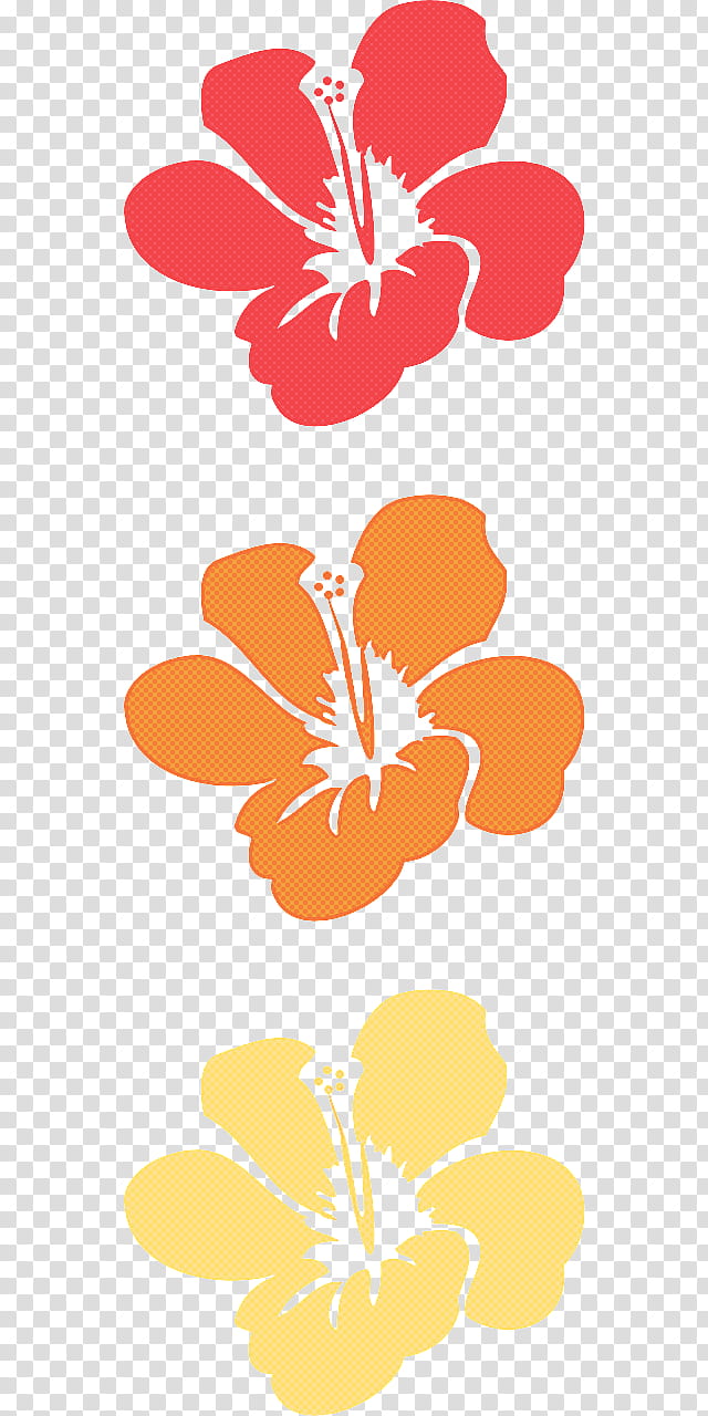 Orange, Hibiscus, Hawaiian Hibiscus, Plant, Flower, Mallow Family, Petal transparent background PNG clipart