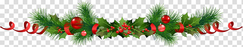 ChristmasByIrem, green and red mistletoe transparent background PNG clipart
