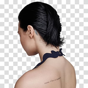 Demi Lovato 2 transparent background PNG clipart thumbnail