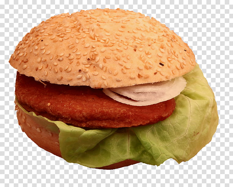 Junk Food, Salmon Burger, Cheeseburger, Buffalo Burger, Hamburger, Veggie Burger, Breakfast Sandwich, Ham And Cheese Sandwich transparent background PNG clipart
